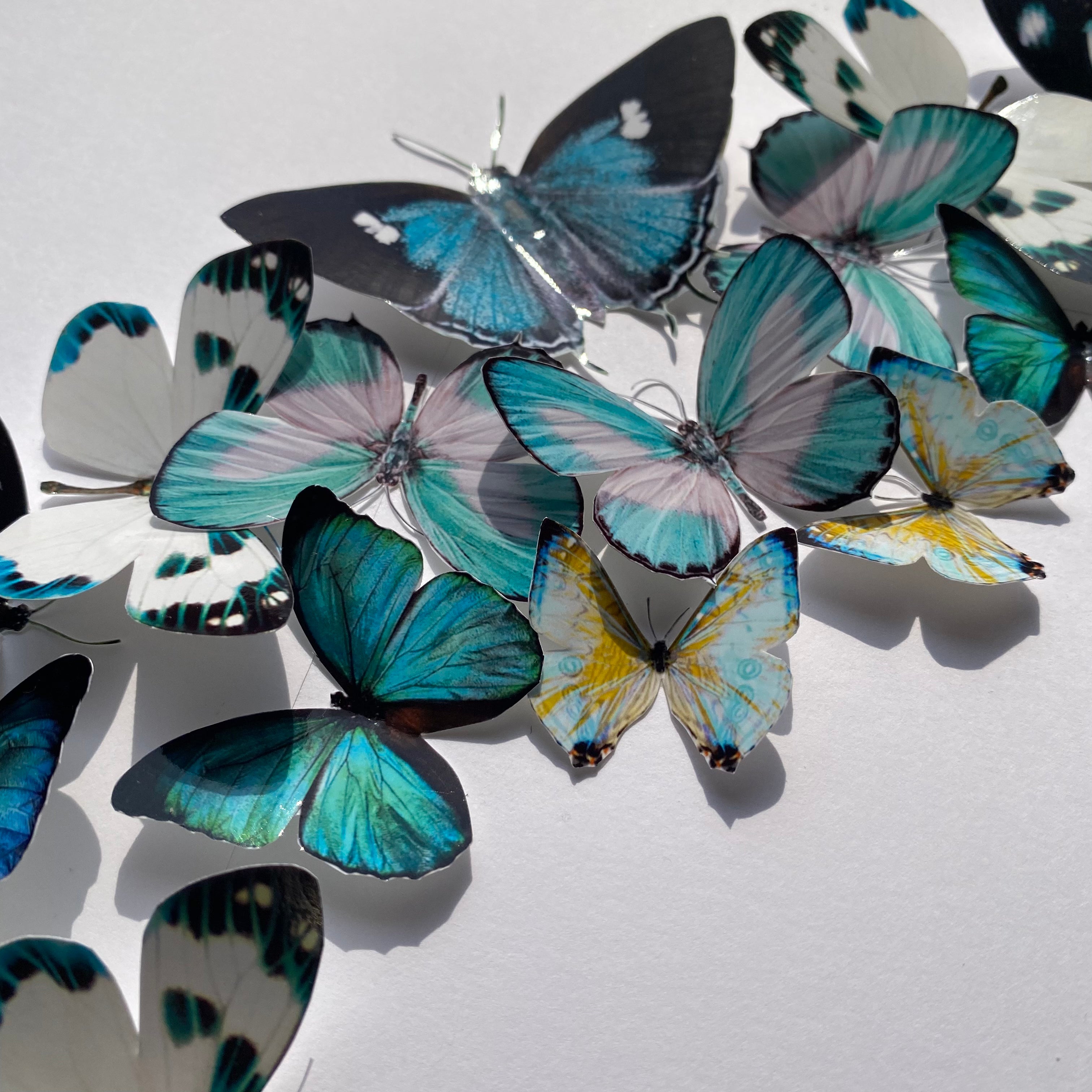 Couronne de papillons - Peacock - HOPE- Grand Modèle