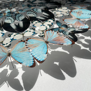 Mandala de papillons - Orage