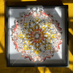 Charger l&#39;image dans la galerie, Mandala de papillons - Sunrise
